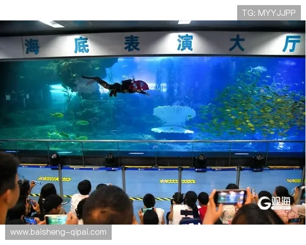 菲鱼直播:畅游水下的奇幻世界之旅